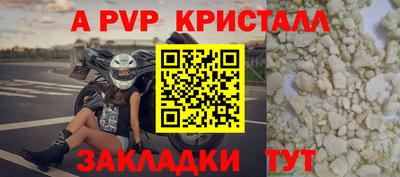 спиды Гусев