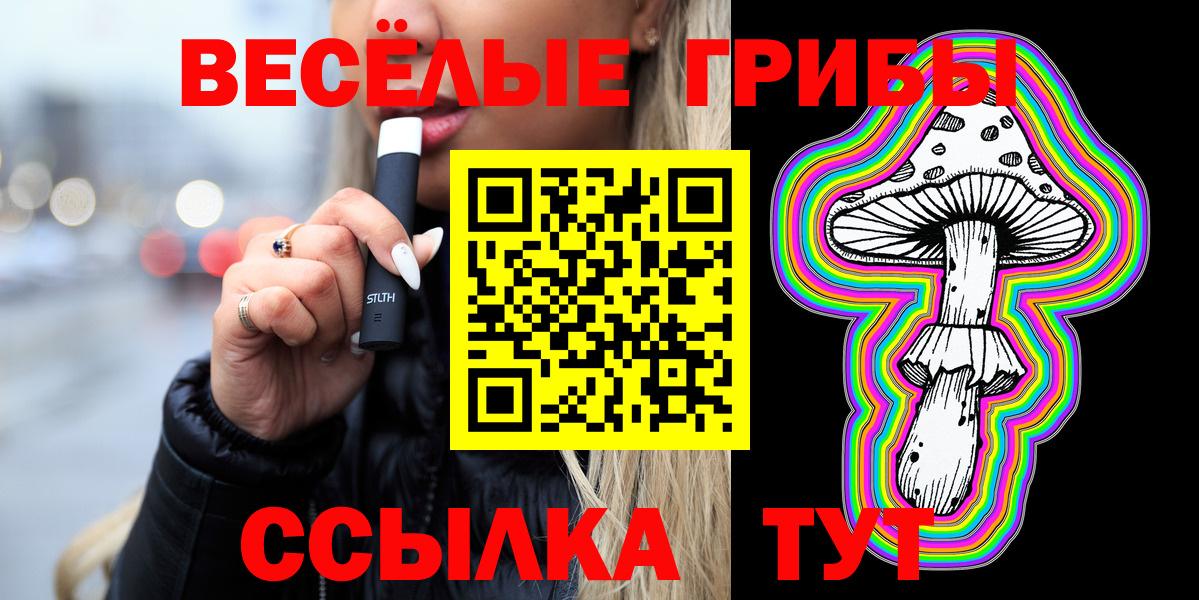Галлюциногенные грибы Psilocybine cubensis Тимашёвск